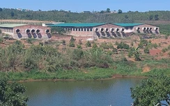 Lâm Đồng: Bị trang trại heo trái phép bủa vây, dân "kêu trời không thấu"