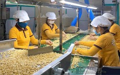 Thông tin mới nhất vụ nghi lừa đảo 100 container hạt điều xuất sang Ý