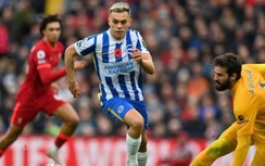 Nhận định, soi kèo Brighton vs Liverpool, vòng 29 Ngoại hạng Anh