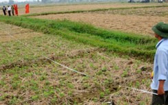 4 lưu ý khi mua đất nông nghiệp để chuyển đổi sang đất ở