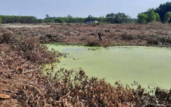 Thời Đại Land bị tố lừa bán đất: Dự án không ai biết, chỉ là nơi nuôi bò!