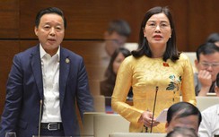 "Thổi giá" nhà đất: Đại biểu trăn trở khi Bộ trưởng nói "không hình sự hóa"