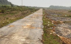 Đường xã đảo "đẹp nên thơ" đã sạch rác sau phản ánh của Báo Giao thông