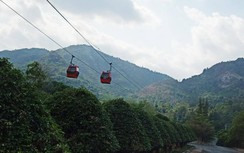 Ca mắc tăng, du khách giảm, du lịch ĐBSCL kiến nghị bỏ công bố số liệu F0