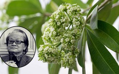 Nghe lại những ca khúc nổi tiếng của nhạc sĩ Hồng Đăng