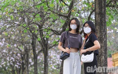 Đẹp nao lòng mùa hoa tháng 3 trên những tuyến phố Hà Nội