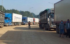 Nông sản ách tắc: Tài xế, chủ xe lâm cảnh thua lỗ, “tiến thoái lưỡng nan"