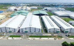 Nhiều địa phương "rốt ráo" phát triển bất động sản công nghiệp
