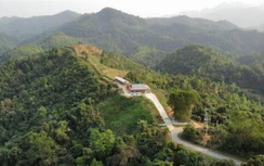 Sớm thẩm định hồ sơ chuyển mục đích sử dụng rừng làm cao tốc Bắc - Nam