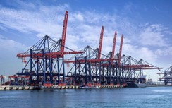 Bất chấp Covid-19, Bạc Liêu thu hút hàng tỷ đô từ dòng vốn FDI