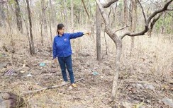 Bắt khẩn cấp người phụ nữ và tình nhân giết chồng tại Đắk Lắk