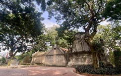 Ly kỳ chuyện "thần" giữ đảo ở Hòn Dấu