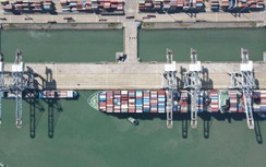 Nhiều cơ chế đặc thù làm “siêu cảng” tại Cần Giờ