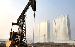 Bất chấp căng thẳng, đầu tư của Trung Quốc vào Nga vẫn thuận lợi