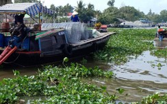 Xây mới cầu Viên Bình ở Sóc Trăng, xe cộ, tàu ghe lưu thông ra sao?