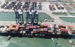 Hàng qua cảng biển giữ đà tăng dù tàu cập cảng giảm