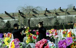 Nhiều người dân Trung Quốc phải "tảo mộ trực tuyến" vì dịch Covid-19