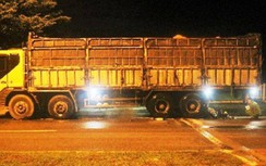 Vụ 3 thanh tra giao thông Ninh Thuận bị kết án: Hủy bản án sơ thẩm