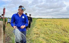 Nam thanh niên gài bẫy chuột bằng điện chết người, giấu thi thể nạn nhân