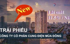 3 công ty của Tân Hoàng Minh bị huỷ 9 đợt phát hành trái phiếu 10.030 tỷ