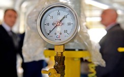 Quan chức cấp cao EU nêu lý do chưa thể cấm toàn bộ khí đốt Nga