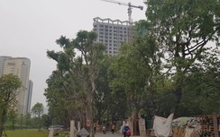 Trinity Tower: Đất nông nghiệp "biến" thành dự án nhà ở không qua đấu giá