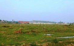 Dự án “ôm” 35ha đất ruộng, bỏ hoang suốt 15 năm ở Hải Dương