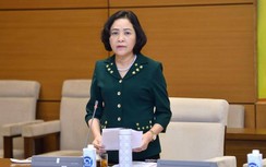 Xử lý vi phạm của FLC, Tân Hoàng Minh: Cần ổn định thị trường, tạo niềm tin