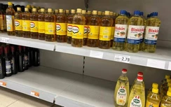 Châu Âu lo thiếu lương thực khi Ukraine tắc xuất khẩu