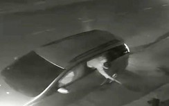 Nhóm người đi ô tô ngang nhiên bắt trộm chó ở Củ Chi