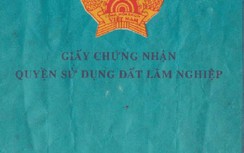 Phân biệt sổ đỏ, sổ trắng, sổ xanh trong chứng nhận nhà đất