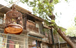 "Chuồng chim, chuồng cọp" bủa vây khu vực có căn nhà cháy làm 5 người chết