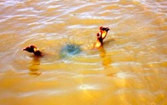 Rủ nhau ra suối chơi, 2 cháu bé ở Yên Bái đuối nước thương tâm