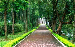 Cận cảnh phố đi bộ thứ tư ở Hà Nội trước giờ khai trương