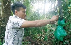 Kỳ lạ khu rừng cất nhau, rốn của đồng bào Xê Đăng