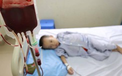 Gần 14 triệu người mang gene bệnh tan máu bẩm sinh