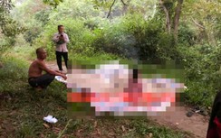 Tắm suối, hai cháu nhỏ ở Nghệ An đuối nước thương tâm
