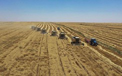 Ukraine nghi ngờ các lực lượng Nga đã đánh cắp "vài trăm nghìn tấn" ngũ cốc