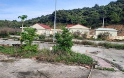 Yêu cầu thanh tra "dự án triệu đô đắp chiếu" ở vườn quốc gia Bái Tử Long