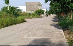 Trường chính quy thiếu xe, “cò” dạy lái tung hoành