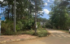 Chuyển điều tra vụ cấp đất làm dự án biệt thự trên đất rừng ở Măng Đen