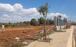 Thanh tra một hộ dân ở Gia Lai có lô "đất vàng" lớn sau quy hoạch