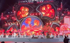Tưng bừng khai mạc Lễ hội Hoa phượng đỏ Hải Phòng 2022
