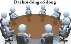 Công ty CP Nosco Shipyard họp đại hội đồng cổ đông bất thường năm 2022