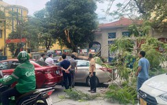 Cây phượng vĩ cổ thụ gãy đổ thẳng vào 2 ô tô đang chạy trên phố Thủ đô