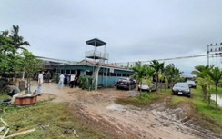 Chủ trang trại tổ chức đá gà hàng trăm triệu ở Hải Dương như thế nào?