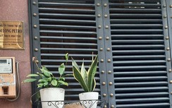 Bị chiếm giữ tiền tỷ vì tin lời đối tác mua 1 triệu lít dầu D.O giá rẻ