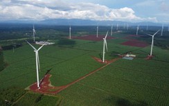 Gia Lai tạo điều kiện để doanh nghiệp lớn đặt "đại bản doanh"