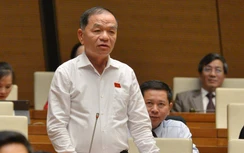 "Đạo luật tác động đến đời sống nhân dân thì cần phải trưng cầu dân ý"
