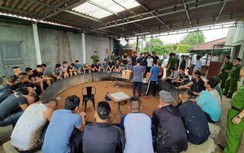 Lật tẩy sới đá gà liên tỉnh núp bóng trang trại ở Hải Dương